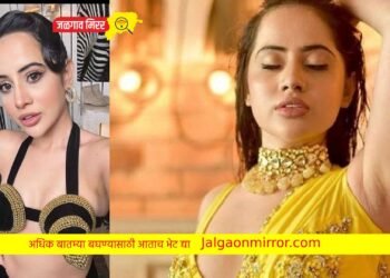 उर्फीने केली बोल्डनेसची हद्दपार ; सार्वजनिक ठिकाणाचा व्हिडीओ व्हायरल !