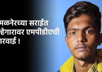 अमळनेरच्या सराईत गुन्हेगारावर एमपीडीएची कारवाई !