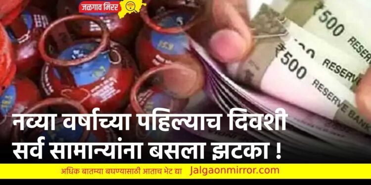 नव्या वर्षाच्या पहिल्याच दिवशी सर्व सामान्यांना बसला झटका !