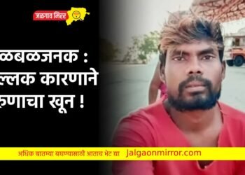 खळबळजनक : शुल्लक कारणाने तरुणाचा खून !