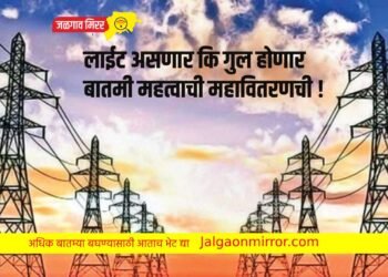लाईट असणार कि गुल होणार ; बातमी महत्वाची महावितरणची !