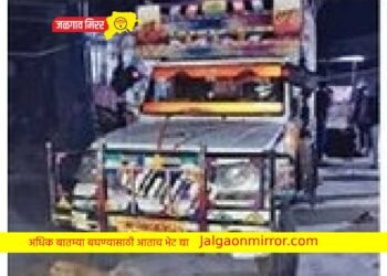 जनावरांना कोंबून अवैधरीत्या वाहतूक ; पोलिसांनी घेतली गाडी ताब्यात !