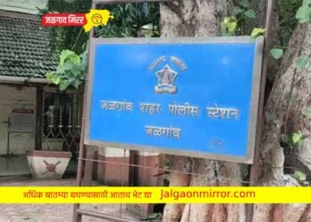 शिवाजी नगर उड्डाणपुलावर मुलासह आईस चारचाकीची धडक ; एक ताब्यात !