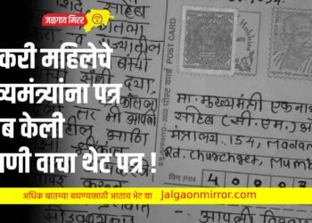 शेतकरी महिलेचे मुख्यमंत्र्यांना पत्र अजब केली मागणी ; वाचा थेट पत्र !