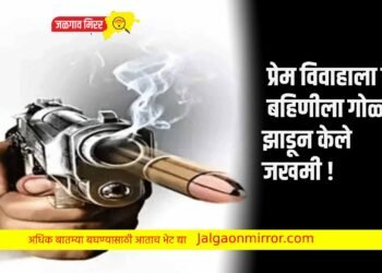 प्रेम विवाहाला विरोध ; बहिणीला गोळ्या झाडून केले जखमी !