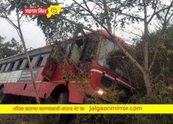 धानोरा – देवगाव रस्त्यावर बस घसरली !