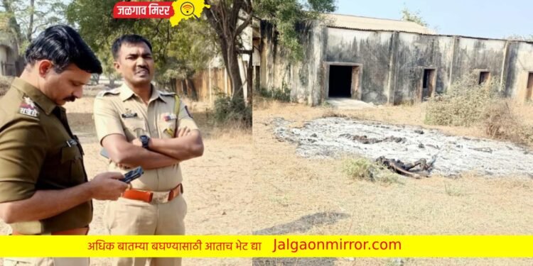 ब्रेकिंग : जळगावात वृद्धाचा जळालेला मृतदेह आढळला : आत्महत्या की घातपात?