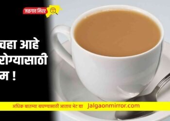 हा चहा आहे आरोग्यासाठी उत्तम !