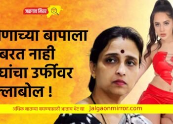 कोणाच्या बापाला घाबरत नाही ; वाघांचा उर्फीवर हल्लाबोल !