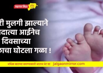 दुसरी मुलगी झाल्याने जन्मदात्या आईनेच तीन दिवसाच्या बाळाचा घोटला गळा !