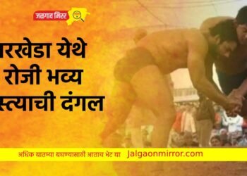 भवरखेडा येथे १५ रोजी भव्य कुस्त्याची दंगल