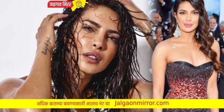 मी अधिक मजबूत ; प्रियांका चोप्राने दिले सणसणीत उत्तर !