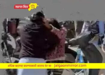 भररस्त्यावर दहावीच्या विद्यार्थिनींमध्ये हाणामारी !