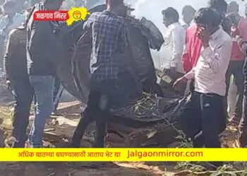 हवाई दलाच्या दोन विमानाची हवेत टक्कर ; दोन पायलट वाचले !