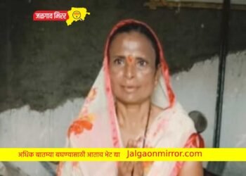 पतीला जेवणाचा डबा देणे ठरले शेवटचे ; महिला जागीच ठार !