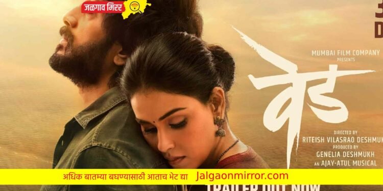 राज्याला ‘वेड’ लावून केली बॉक्स ऑफिसवर तुफान कमाई !