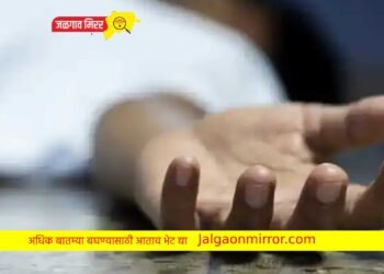 आईच्या मित्राने केला मुलाचा खून ; आरोपी पोलिसांच्या ताब्यात !