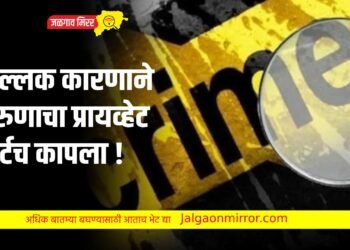 शुल्लक कारणाने तरुणाचा प्रायव्हेट पार्टच कापला !