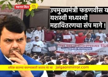 उपमुख्यमंत्री फडणवीस यांची यशस्वी मध्यस्थी ; महावितरणचा संप मागे !