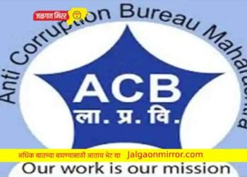 तीनशे रुपयाची लाच घेणे महिला तलाठीला भोवले !