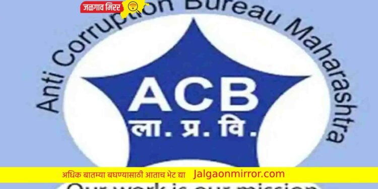 तीनशे रुपयाची लाच घेणे महिला तलाठीला भोवले !