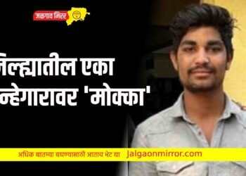 जिल्ह्यातील एका गुन्हेगारावर ‘मोक्का’