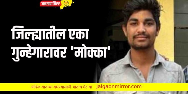 जिल्ह्यातील एका गुन्हेगारावर ‘मोक्का’