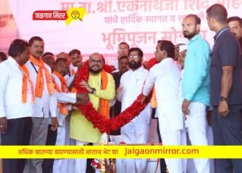 मुख्यमंत्री शिंदेंच्या हस्ते विविध विकासकामांचे ई- भूमिपुजन !