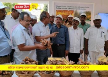 हळद पिकातून मिळेल आर्थिक समृद्धीचा मार्ग – डॉ. निर्मल बाबू