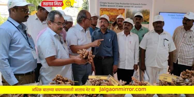 हळद पिकातून मिळेल आर्थिक समृद्धीचा मार्ग – डॉ. निर्मल बाबू