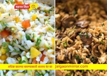 महिलांची चिंता मिटणार : शिळ्या भातापासून बनवू शकतात हे पदार्थ !