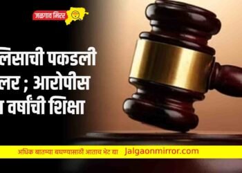 पोलिसाची पकडली कॉलर ; आरोपीस पाच वर्षांची शिक्षा