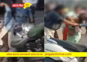 तरुणींच्या दोन गटात तुंबळ हाणामारी ; पहा व्हिडीओ !