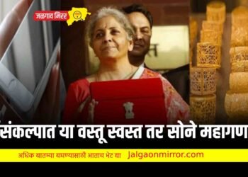 अर्थसंकल्पात या वस्तू स्वस्त तर सोने महागणार !