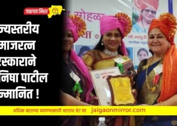 राज्यस्तरीय समाजरत्न पुरस्काराने मनिषा पाटील सन्मानित !
