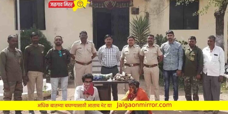 चाळीसगावात ‘पुष्पा’ ला ठोकल्या पोलिसांनी बेड्या !