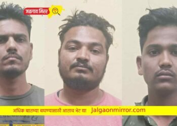 एलसीबीने घेतले अट्टल दरोडेखोर ताब्यात !