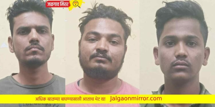 एलसीबीने घेतले अट्टल दरोडेखोर ताब्यात !