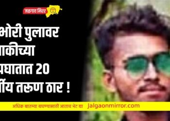 बांभोरी पुलावर दुचाकीच्या अपघातात २० वर्षीय तरूण ठार !