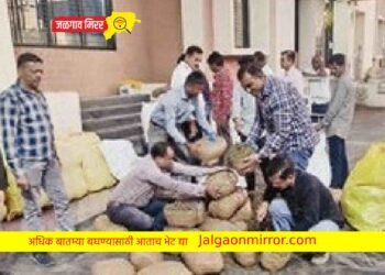 अबब… जिह्यात ५०० किलो गांजा जप्त !
