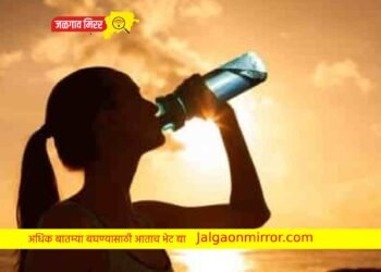 उन्हाळ्यात हा उद्योग करून कमवा बक्कळ पैसा !