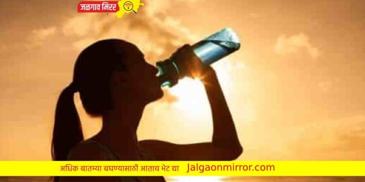 उन्हाळ्यात हा उद्योग करून कमवा बक्कळ पैसा !