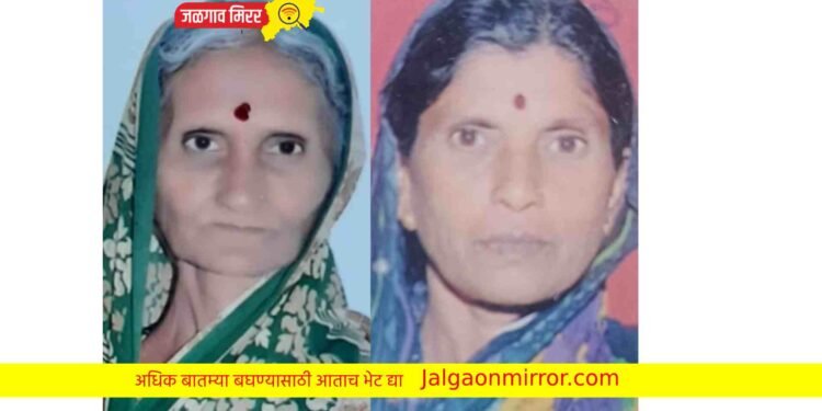 ब्रेकिंग : रुद्राक्ष महोत्सवातून घरी परतताना अमळनेरच्या दोन महिला अपघातात ठार !