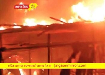 खळ्याला आग : एक बैल दोन पारडू ठार !