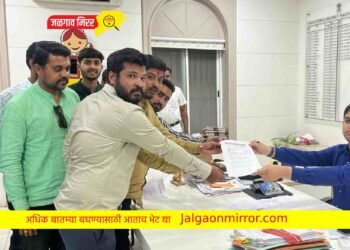 जिल्ह्यात या दिवशी ‘ड्राय डे’ घोषित करा !