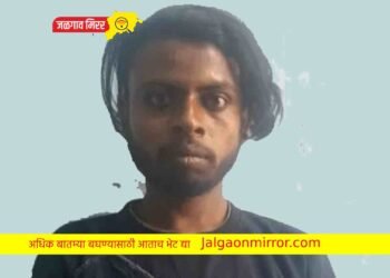 दुचाकी चोरट्याला एलसीबीने घेतले ताब्यात !