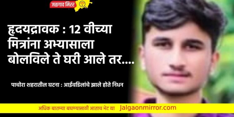 हृदयद्रावक : १२ वीच्या मित्रांना अभ्यासाला बोलविले ते घरी आले तर….