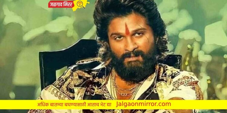 या दिवशी होणार ‘पुष्पा २’ चा टीझर रिलीज !