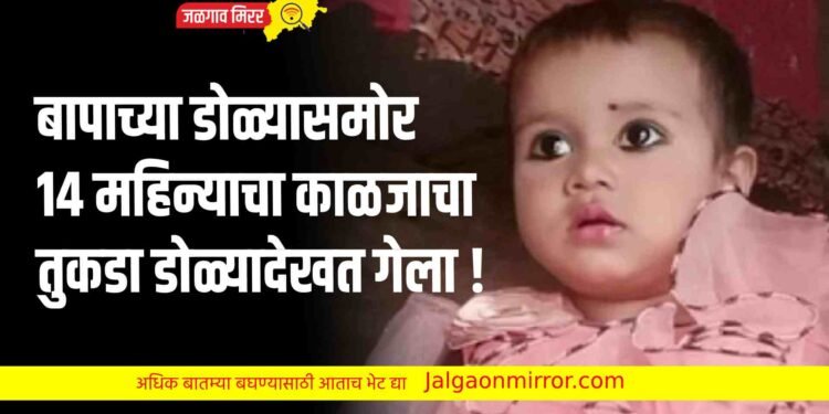 बापाच्या डोळ्यासमोर १४ महिन्याचा काळजाचा तुकडा डोळ्यादेखत गेला !