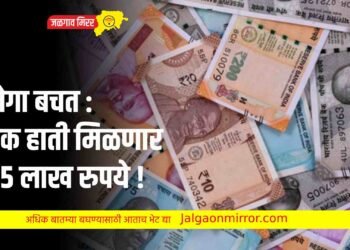 मेगा बचत : एक हाती मिळणार २५ लाख रुपये !
